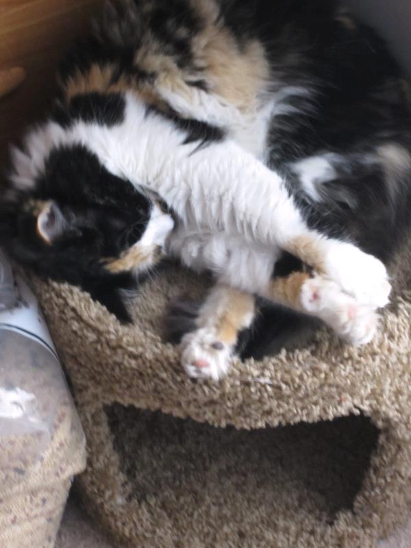/Images/uploads/Humane Society of Utah/HSUCalendar/entries/930thumb.jpg